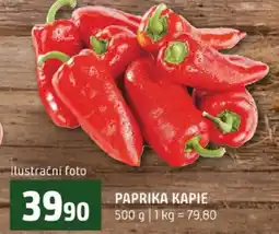 Terno Paprika kapie nabídka