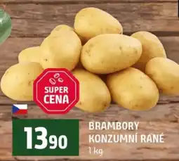 Terno Brambory konzumní rané nabídka