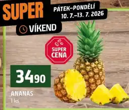 Terno Ananas nabídka