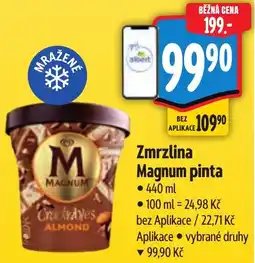 Albert Zmrzlina Magnum pinta nabídka