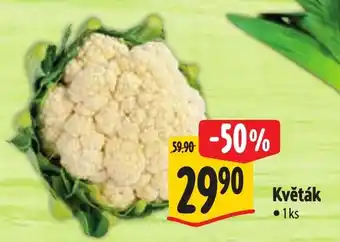 Albert Květák nabídka