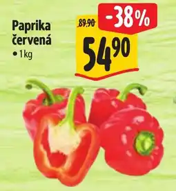 Albert Paprika červená nabídka