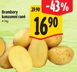 Albert Brambory konzumní rané nabídka