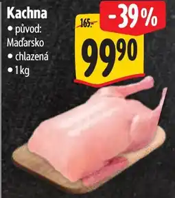 Albert Kachna nabídka