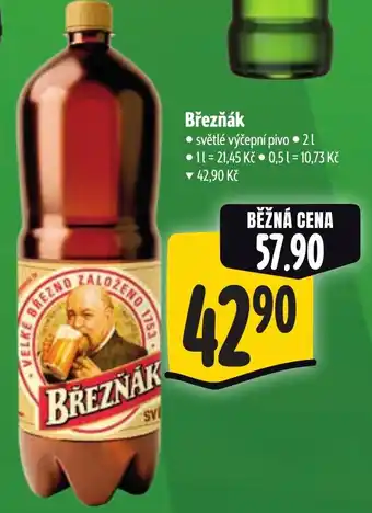 Albert Březňák nabídka