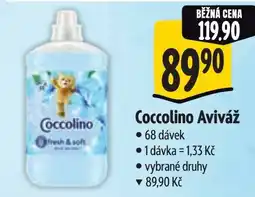 Albert Coccolino Aviváž nabídka