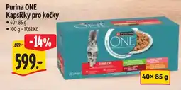 Albert Purina ONE Kapsičky pro kočky nabídka