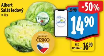 Albert Albert Salát ledový nabídka
