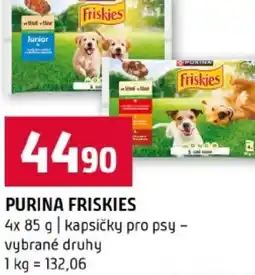 Terno Purina friskies nabídka