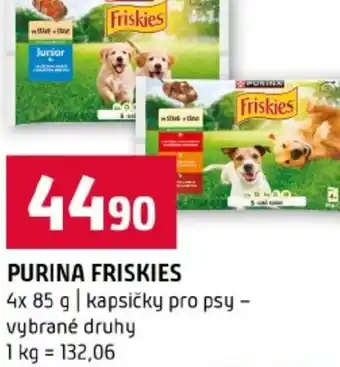 Terno Purina friskies nabídka
