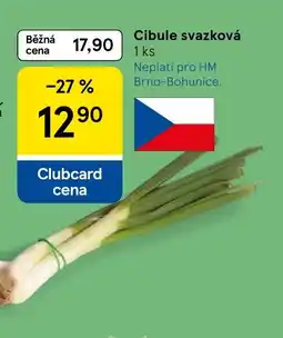 Tesco Cibule svazková nabídka