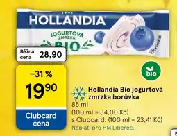 Tesco Hollandia Bio jogurtová zmrzka borůvka nabídka