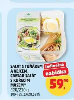 Penny Market SALÁT S TUŇÁKEM A VEJCEM, CAESAR SALÁT S KUŘECÍM MASEM 220/210 g nabídka
