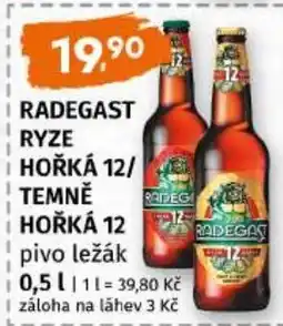 Trefa Radegast ryze hořká 12/ temně hořká 12 nabídka