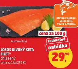 Penny Market Losos divoký keta filet nabídka