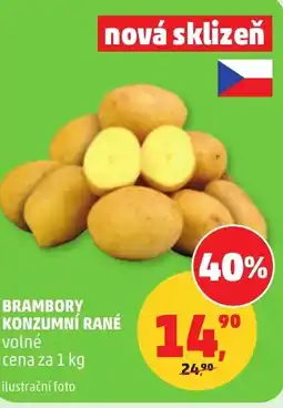 Penny Market Brambory konzumní rané nabídka