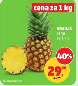 Penny Market Ananas nabídka