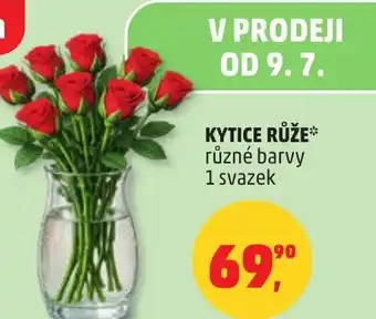 Penny Market Kytice růže nabídka