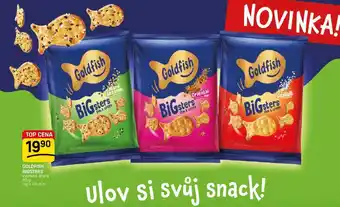 Flop GOLDFISH BIGSTERS vybrané druhy nabídka