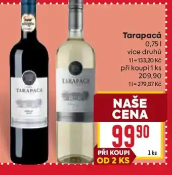 Billa Tarapacá nabídka