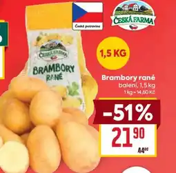 Billa Brambory rané nabídka