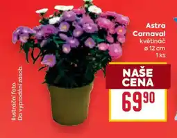Billa Astra Carnaval nabídka