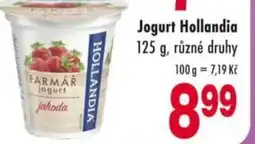 Qanto Jogurt Hollandia nabídka