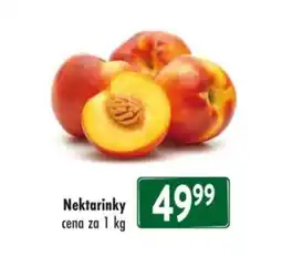 Qanto Nektarinky nabídka