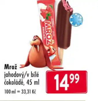 Qanto Mrož nabídka
