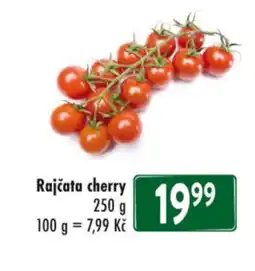 Qanto Rajčata cherry nabídka