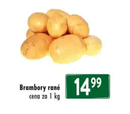 Qanto Brambory rané nabídka