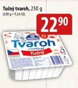 Bala Tučný tvaroh nabídka