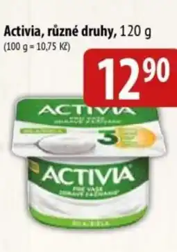 Bala Activia nabídka