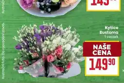 Billa Kytice Eustoma 1 svazek nabídka