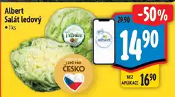Albert Albert Salát ledový nabídka