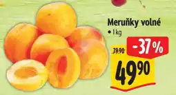 Albert Meruňky volné nabídka