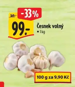 Albert Česnek volný nabídka