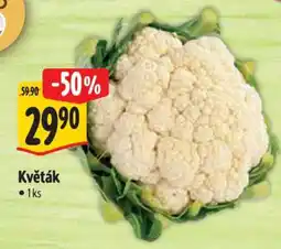 Albert Květák nabídka