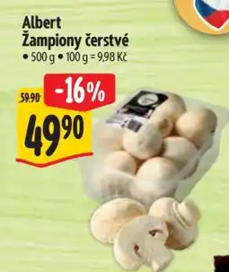 Albert Albert Žampiony čerstvé nabídka