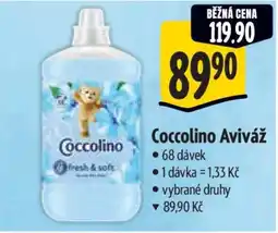 Albert Coccolino aviváž nabídka