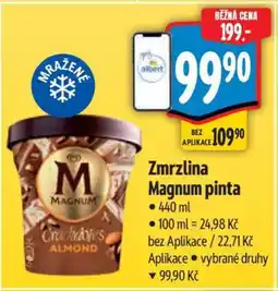 Albert Zmrzlina Magnum Pinta nabídka