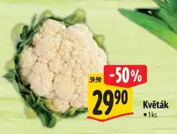 Albert Květák nabídka