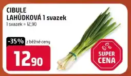 Terno Cibule lahůdková 1 svazek nabídka