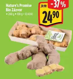 Albert Nature's Promise Bio Zázvor nabídka