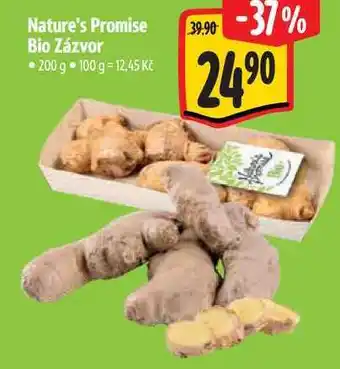 Albert Nature's Promise Bio Zázvor nabídka