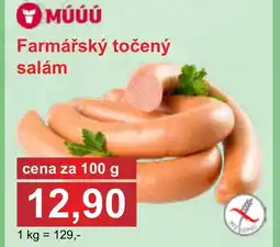 PLUS JIP Farmářský točený salám nabídka