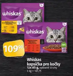 COOP TIP Whiskas kapsička pro kočky nabídka