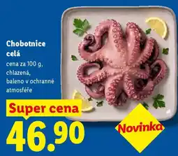 Lidl Chobotnice celá nabídka