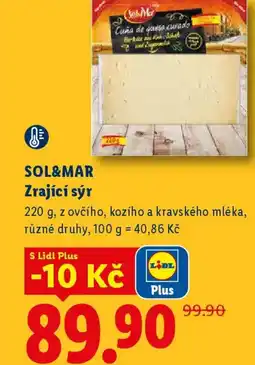Lidl SOL&MAR Zrající sýr nabídka