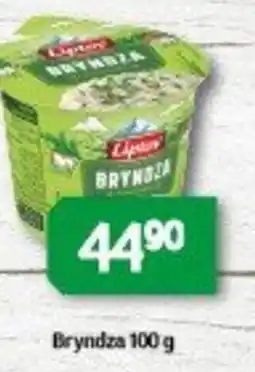 Brněnka Bryndza nabídka